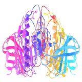 China LIPASE - China Supplier China LIPASE - China Supplier
