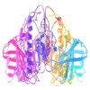 China LIPASE - China Supplier China LIPASE - China Supplier