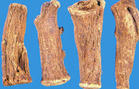 China Elecampane Extract - China Supplier