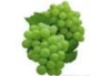 China Grape Seed Extract - China Supplier China Grape Seed Extract - China Supplier
