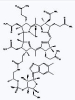 China VitaminB12 - China Supplier China VitaminB12 - China Supplier