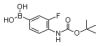 China 4-N-Boc-amino-3-fluorophenylboronicacid - China Supplier China 4-N-Boc-amino-3-fluorophenylboronicacid - China Supplier