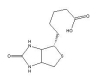 China D-Biotin - China Supplier