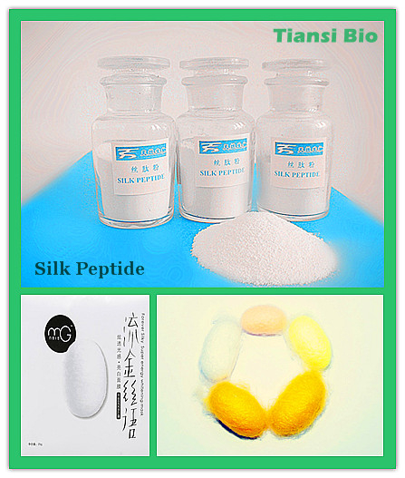 China Silk Peptide - China Supplier