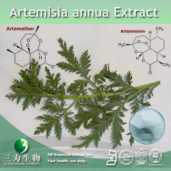 China Artemisia annua Extract - China Supplier China Artemisia annua Extract - China Supplier