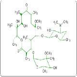 China Clarithromycin - China Supplier