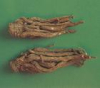 China Angelica lactone - China Supplier