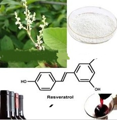 China Resveratrol - China Supplier China Resveratrol - China Supplier