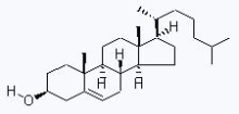 China Cholesterol - China Supplier