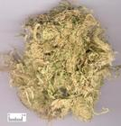 China Bamboo Shavings Extract - China Supplier