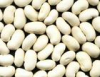 China Phaseolas vulgaris extract Phaseolin - China Supplier China Phaseolas vulgaris extract Phaseolin - China Supplier