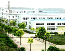 China D-(+)-Methyl-alpha-(2-thienylethamino)(2-chlorophenyl)acetate hydrochloride - China Supplier
