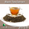 China Black Tea Extract - China Supplier China Black Tea Extract - China Supplier
