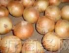 China Onion Extract - China Supplier China Onion Extract - China Supplier