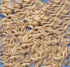 China Ophiopogon Thunb Extract - China Supplier China Ophiopogon Thunb Extract - China Supplier