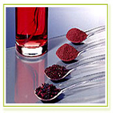 China Lycopene - China Supplier China Lycopene - China Supplier