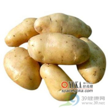China Potato Extract - China Supplier