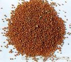China Pepperweed Seed Extract - China Supplier