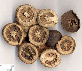 China Citrus aurantium Extract - China Supplier
