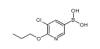 China (5-Chloro-6-propoxypyridin-3-yl)boronicacid - China Supplier China (5-Chloro-6-propoxypyridin-3-yl)boronicacid - China Supplier