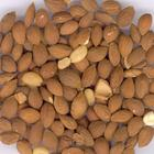 China Chinese Bushcherry Seed Extract - China Supplier China Chinese Bushcherry Seed Extract - China Supplier