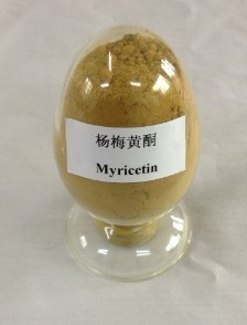 China myricetin - China Supplier