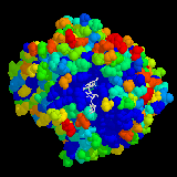 China Glucoamylase - China Supplier