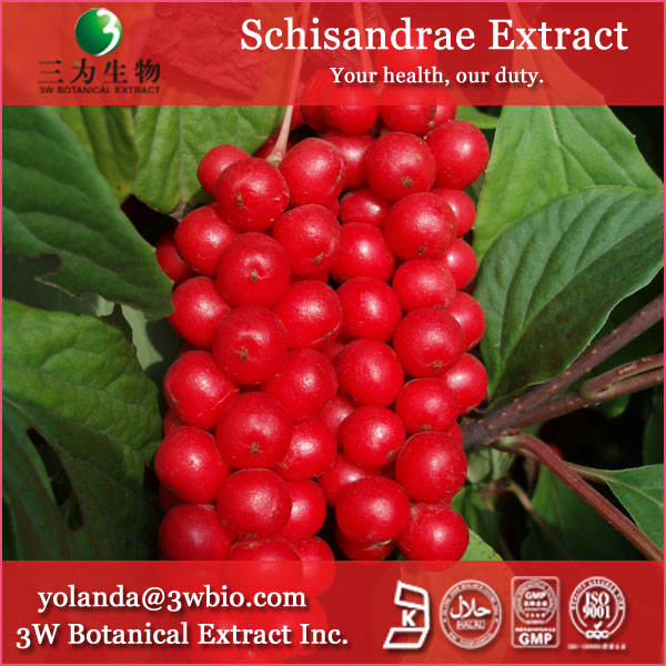 China Schisandra Extract - China Supplier