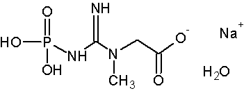 China Creatine phosphate disodium salt - China Supplier
