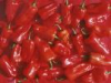 China Chili oil - China Supplier China Chili oil - China Supplier
