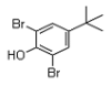 China 2,6-Dibromo-4-tert-butylphenol - China Supplier China 2,6-Dibromo-4-tert-butylphenol - China Supplier