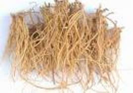 China Gentian root P.E - China Supplier China Gentian root P.E - China Supplier