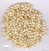 China Ma-yuen Jobstears Seed Extract - China Supplier China Ma-yuen Jobstears Seed Extract - China Supplier