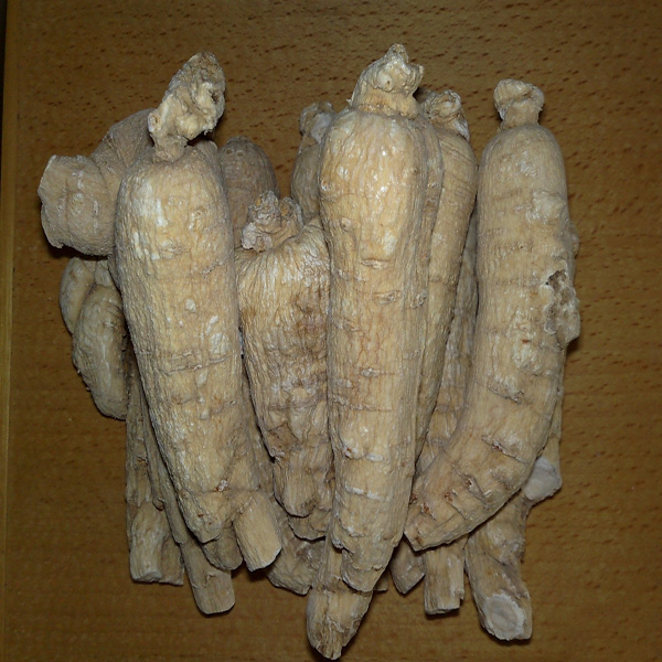 China American Ginseng Extract - China Supplier