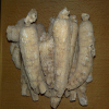 China American Ginseng Extract - China Supplier