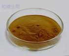 China Costusroot Extract - China Supplier China Costusroot Extract - China Supplier