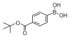 China 4-(tert-Butoxycarbonyl)phenylboronicacid - China Supplier China 4-(tert-Butoxycarbonyl)phenylboronicacid - China Supplier