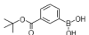 China 3-tert-Butoxycarbonylphenylboronicacid - China Supplier China 3-tert-Butoxycarbonylphenylboronicacid - China Supplier