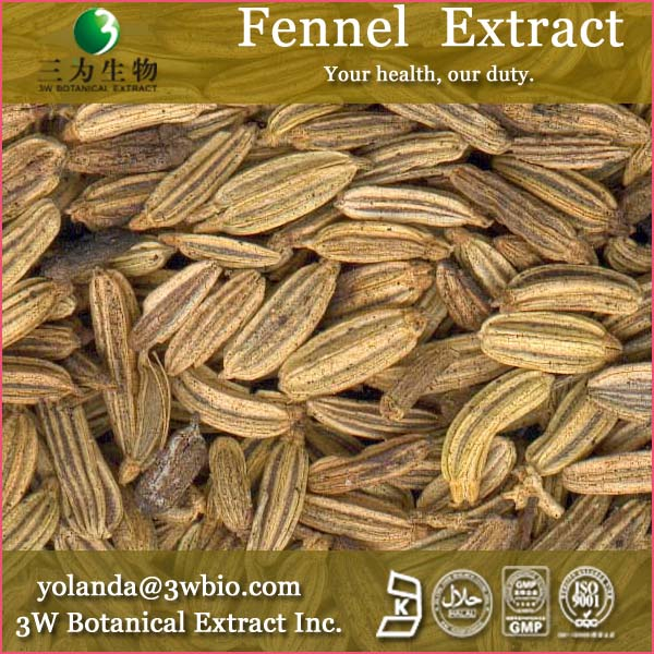 China Fennel Extract - China Supplier
