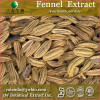 China Fennel Extract - China Supplier