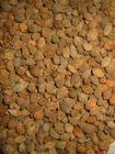China Sharpleaf Galangal Fruit Extract - China Supplier