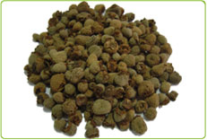 China Raspberry extract - China Supplier China Raspberry extract - China Supplier