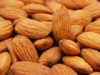 China Bitter Apricot Seed - China Supplier China Bitter Apricot Seed - China Supplier
