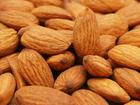 China Bitter Apricot Seed - China Supplier