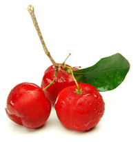 China Acerola Extract - China Supplier