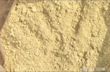 China Salvia Extract - China Supplier