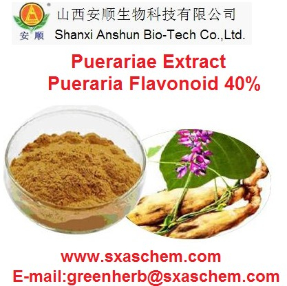 China Puerariae Extract - China Supplier China Puerariae Extract - China Supplier