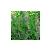 China Sclareol - China Supplier China Sclareol - China Supplier