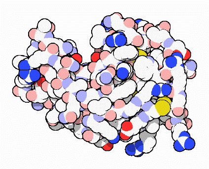 China Lysozyme - China Supplier China Lysozyme - China Supplier