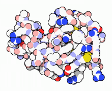 China Lysozyme - China Supplier
